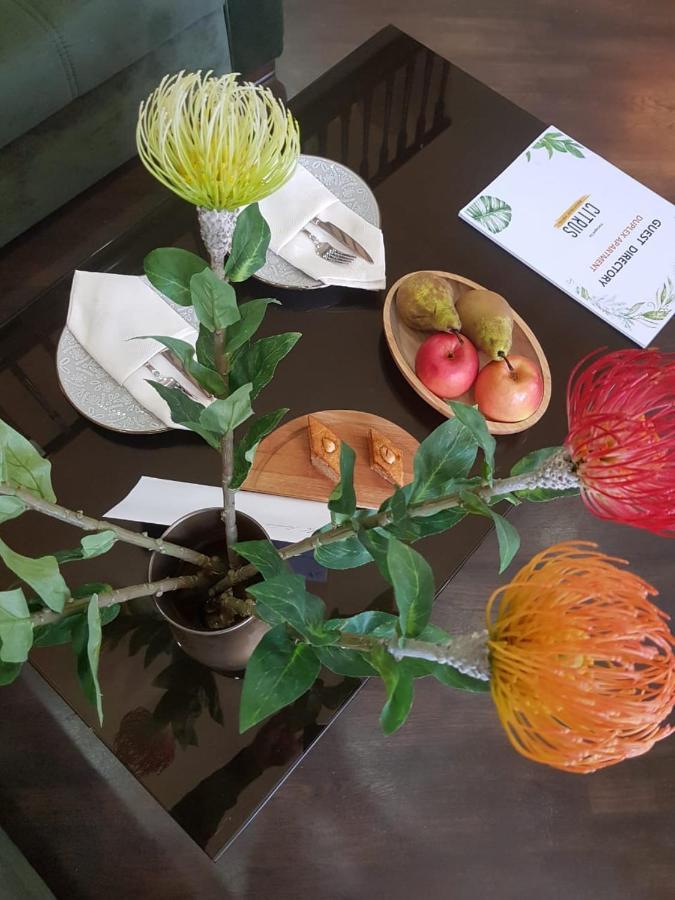 Citrus Boutique Hotel 巴库 外观 照片