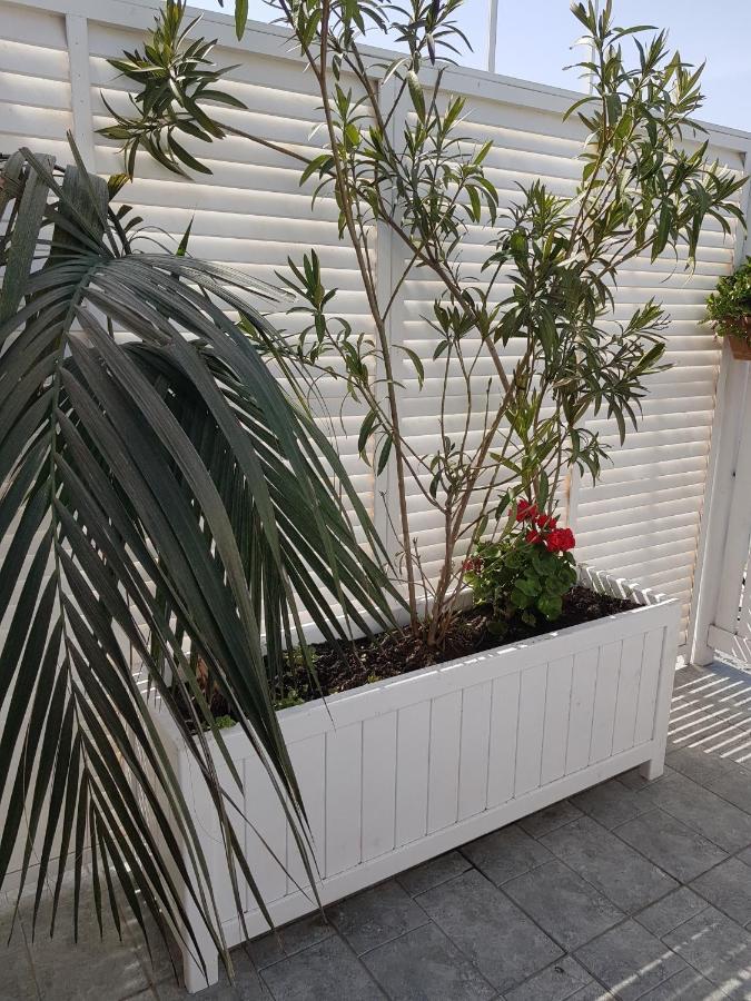 Citrus Boutique Hotel 巴库 外观 照片